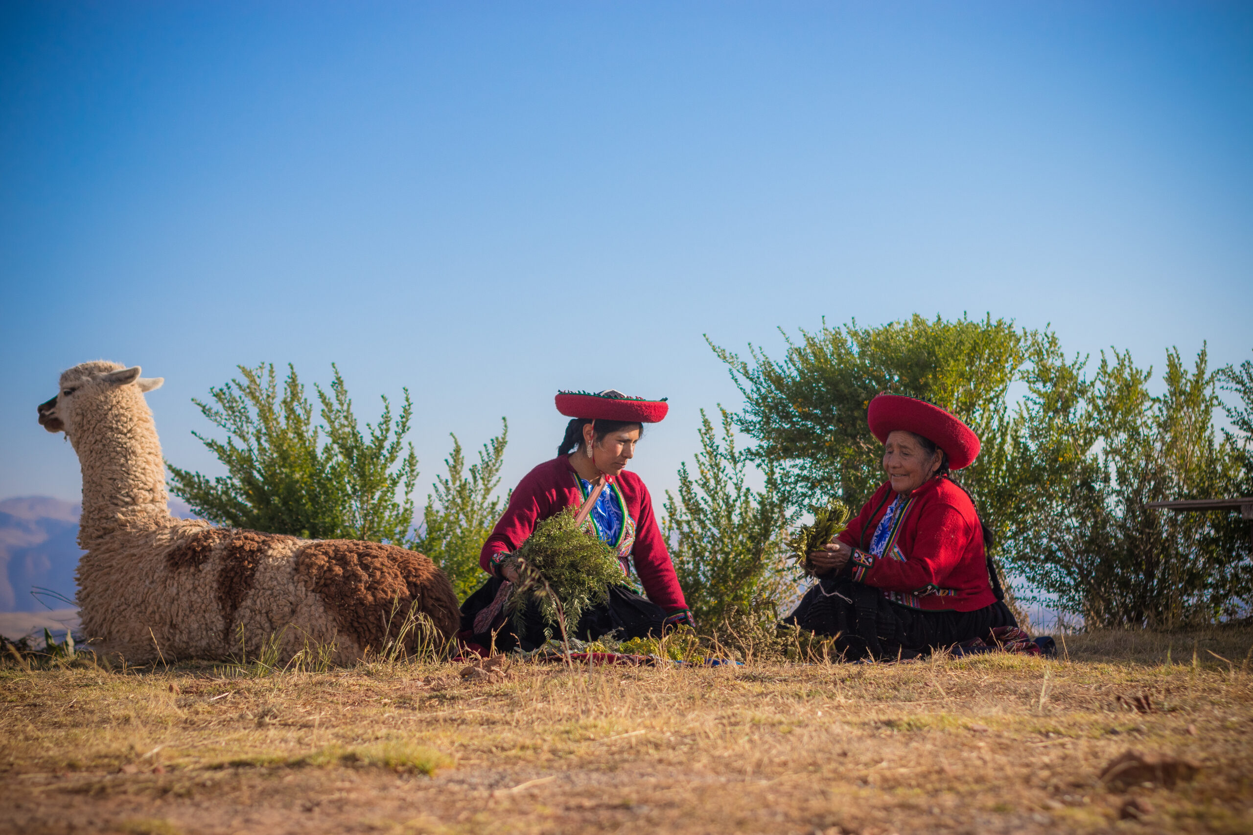 Premium PACKAGES in Peru