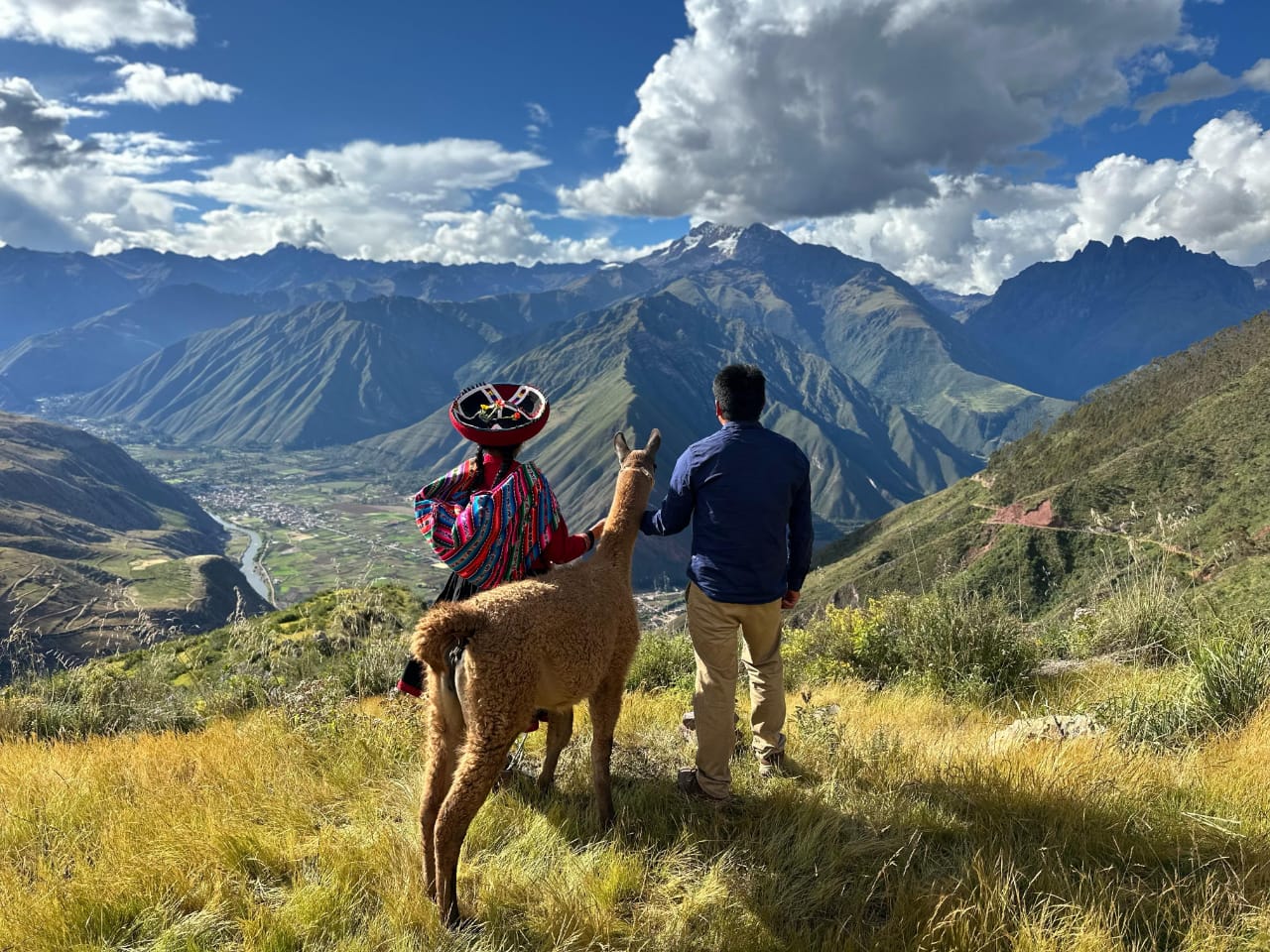 Walk with Alpacas